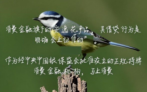 马上消费金融安逸花上征信吗,逾期会有什么后果 马上消费金融安逸花上征信吗