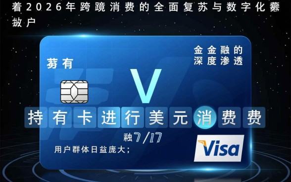 Visa卡刷美元怎么还款