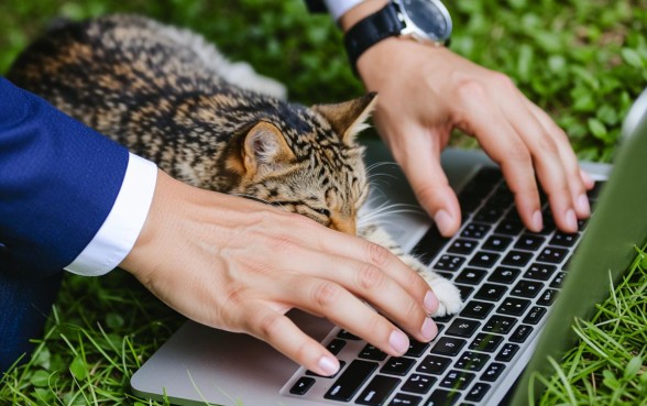 被别人拿身份证贷款怎么办