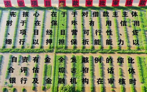 农业项目贷款需要什么条件