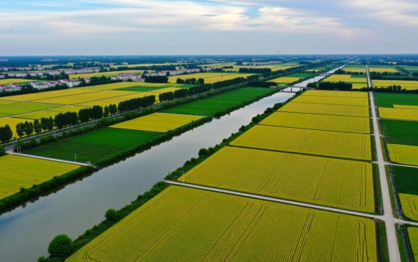 农业项目贷款需要什么条件