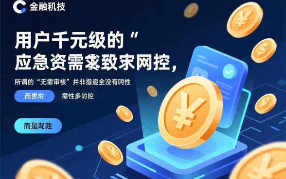 无需审核小额贷款1000元哪里有