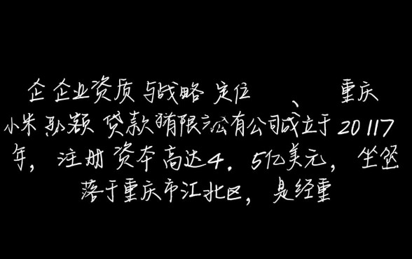 重庆小米小额贷款有限公司