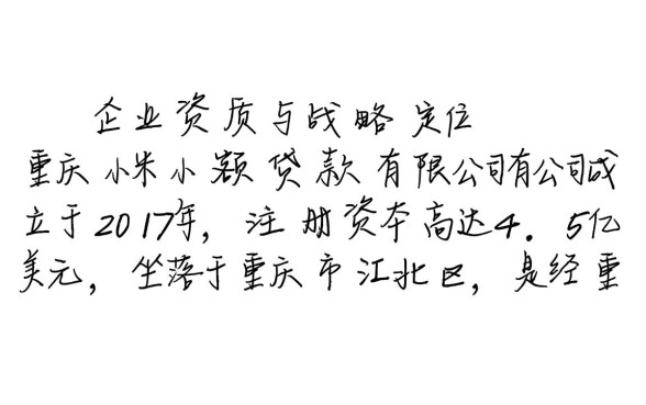 重庆小米小额贷款有限公司