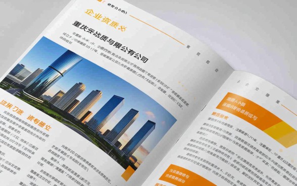 重庆小米小额贷款有限公司