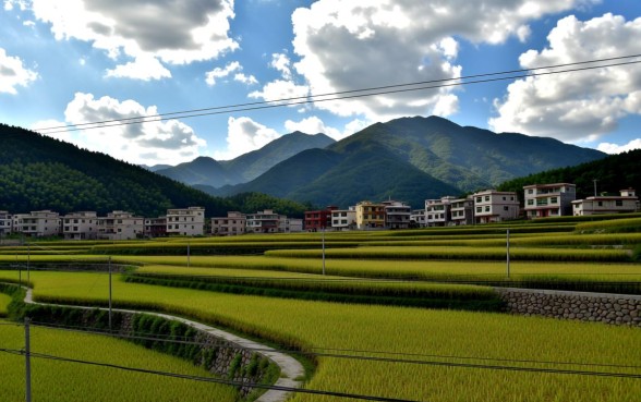 福建全村700人全部网贷怎么回事